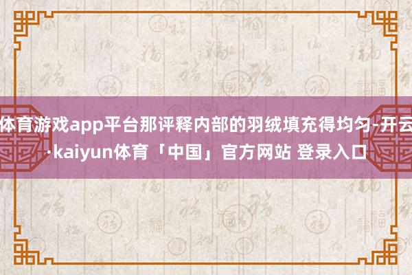 体育游戏app平台那评释内部的羽绒填充得均匀-开云·kaiyun体育「中国」官方网站 登录入口
