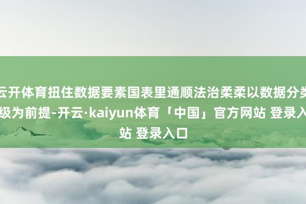 云开体育扭住数据要素国表里通顺法治柔柔以数据分类分级为前提-开云·kaiyun体育「中国」官方网站 登录入口