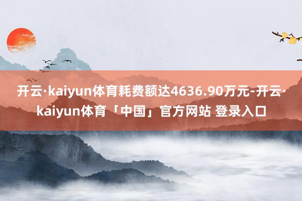 开云·kaiyun体育耗费额达4636.90万元-开云·kaiyun体育「中国」官方网站 登录入口