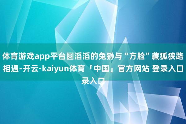 体育游戏app平台圆滔滔的兔狲与“方脸”藏狐狭路相遇-开云·kaiyun体育「中国」官方网站 登录入口